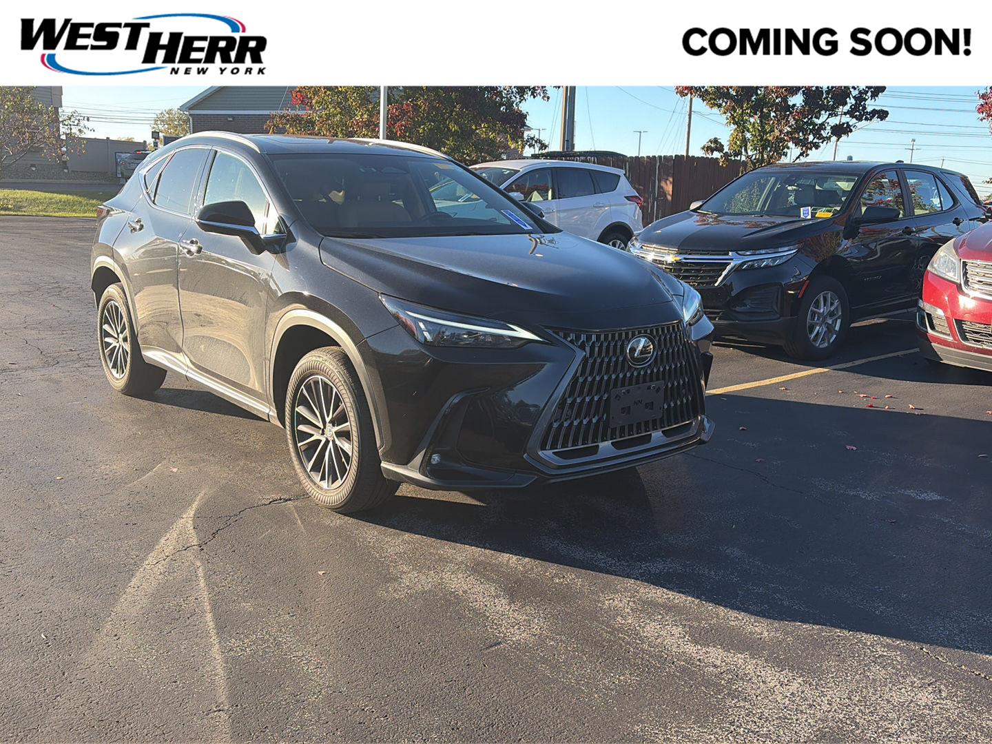  LEXUS NX