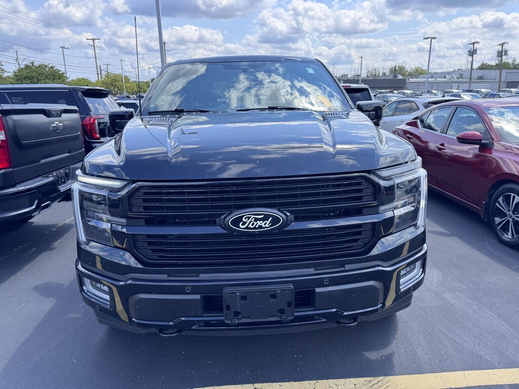 Used 2024 Ford F-150 Platinum Truck