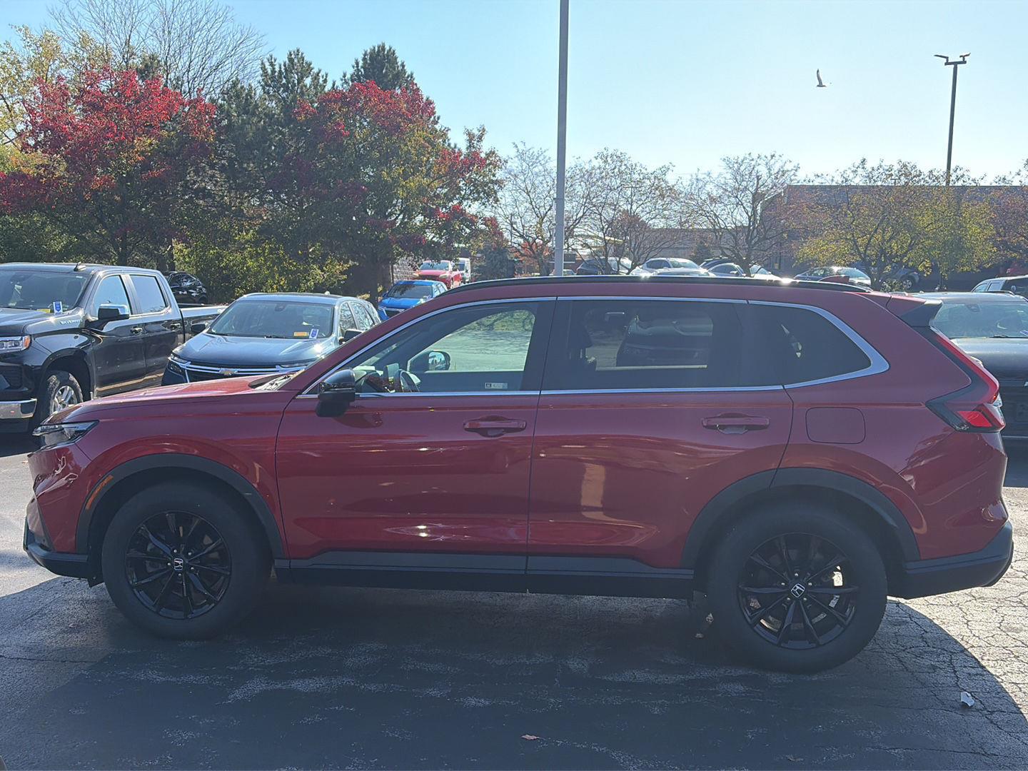 Used 2024 Honda CR-V Hybrid Sport-L AWD
