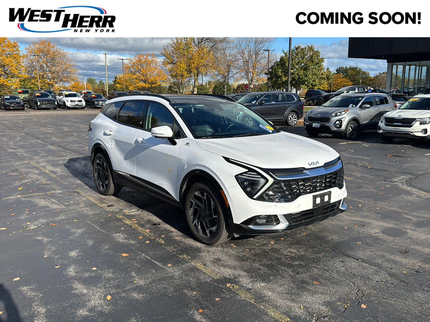  Kia Sportage