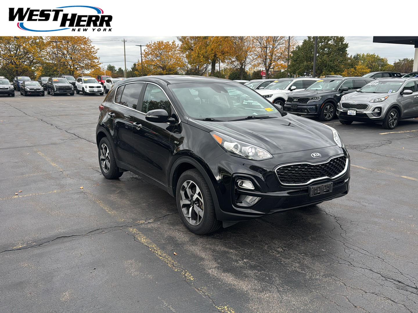 2021 Kia Sportage
