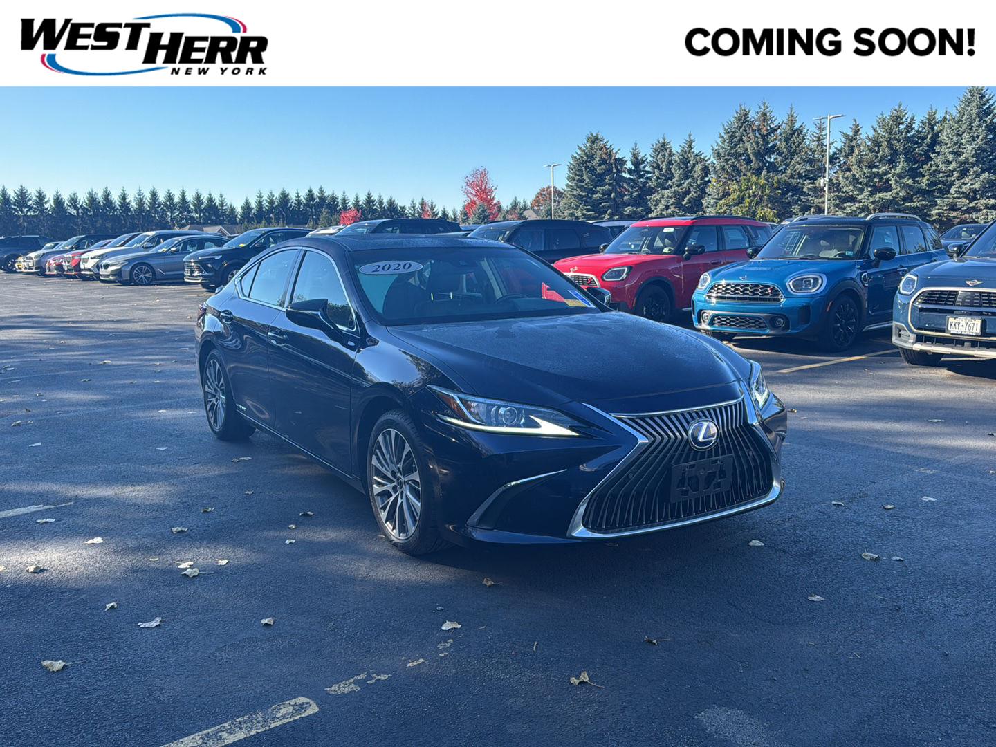  LEXUS ES