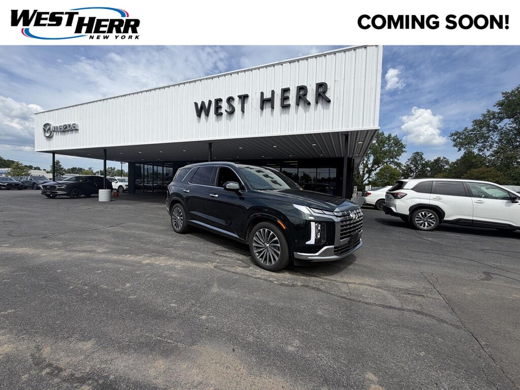 Used 2025 Hyundai Palisade Calligraphy SUV