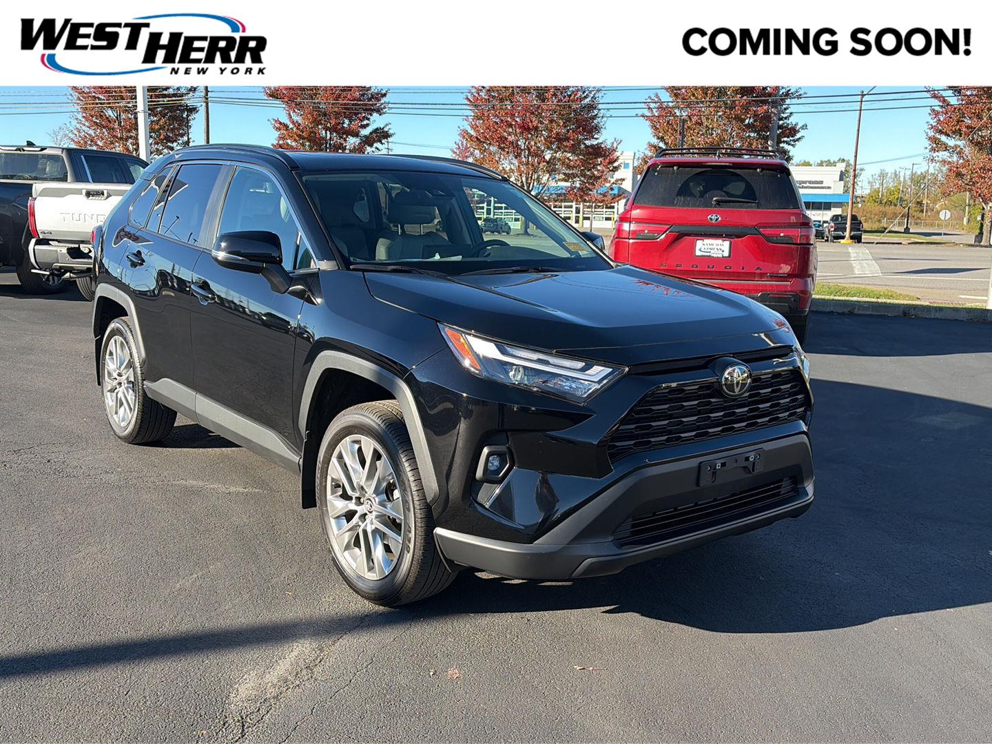 Certified 2025 Toyota RAV4 XLE Premium SUV