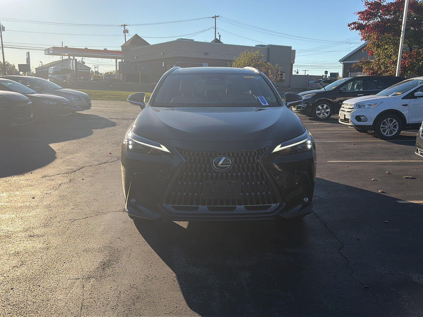 Used 2024 Lexus NX NX 350 Premium SUV