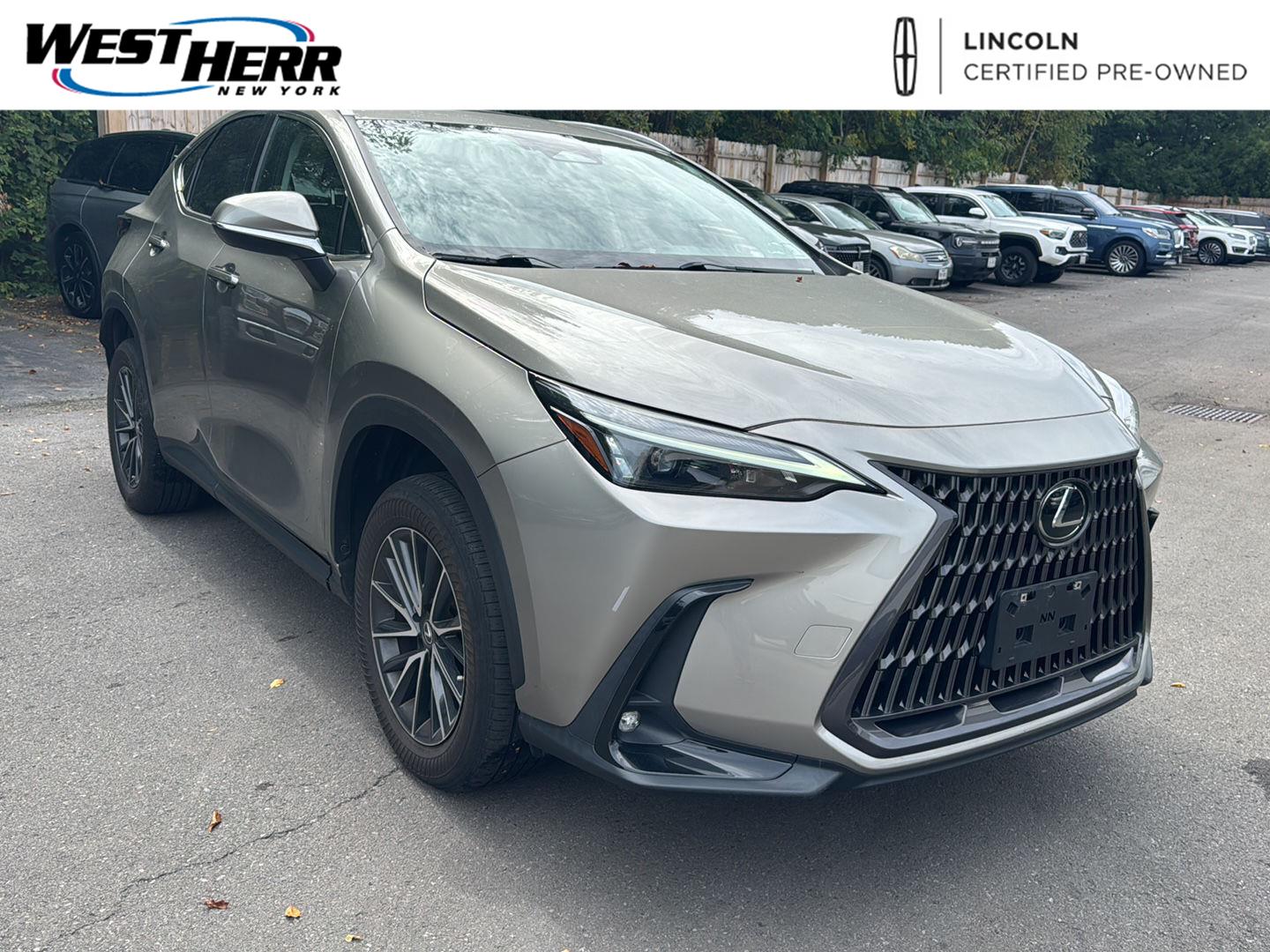 2022 Lexus NX 250