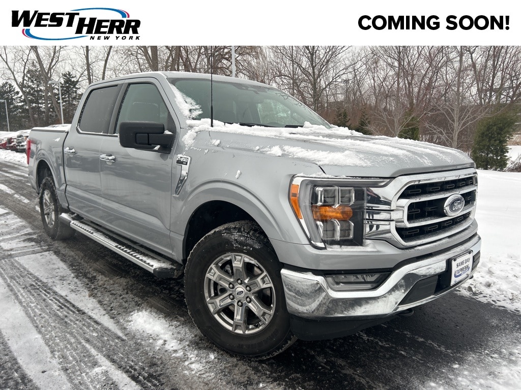 2023 Ford F-150 XLT's photo