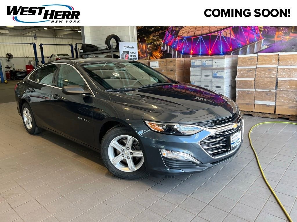2020 Chevrolet Malibu 1LS's photo