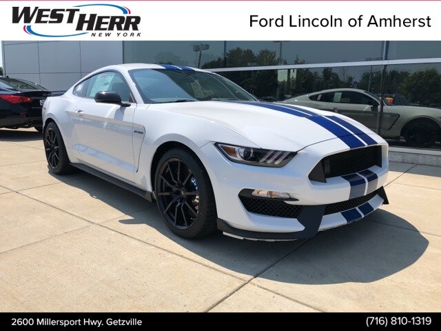 West Herr Ford Amherst >> 2019 Ford Shelby GT350 For Sale in Orchard Park NY | West ... West Herr Ford Amherst >> 2019 Ford Shelby GT350 For Sale in Orchard Park NY | West ...