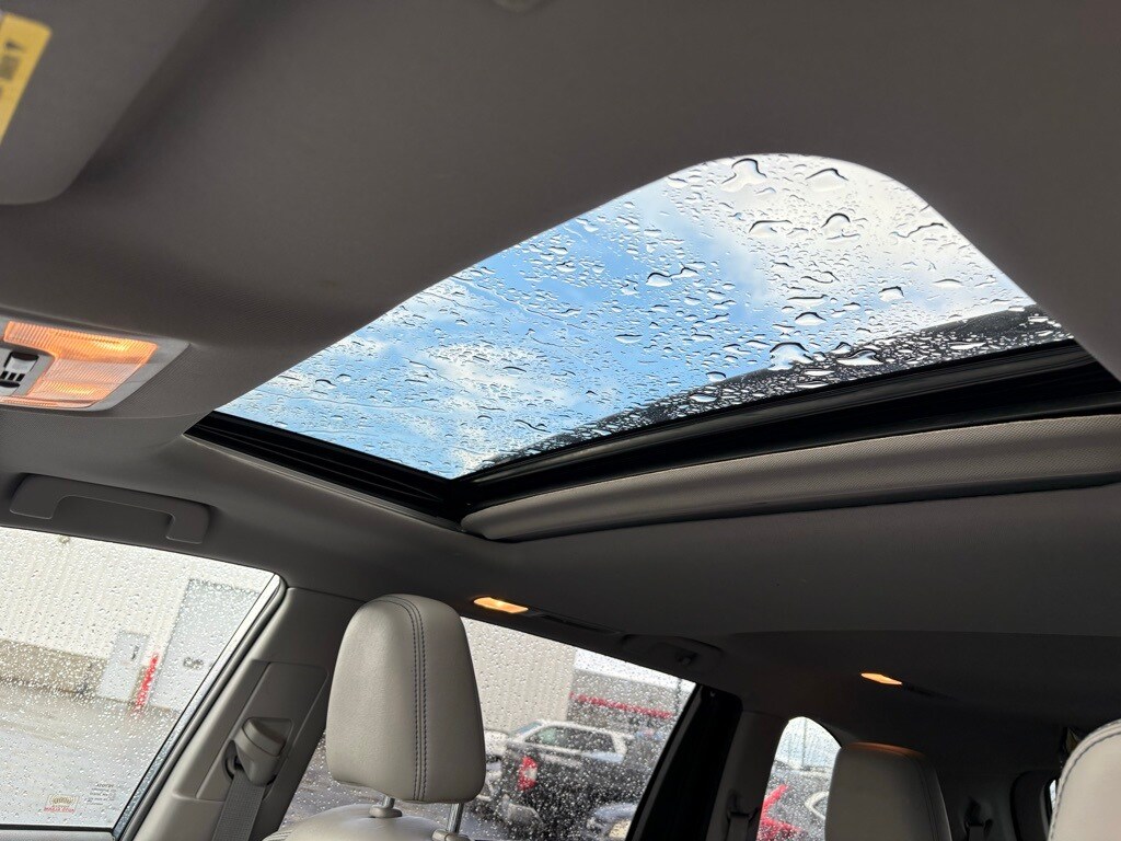 2019 Toyota Highlander XLE photo 4