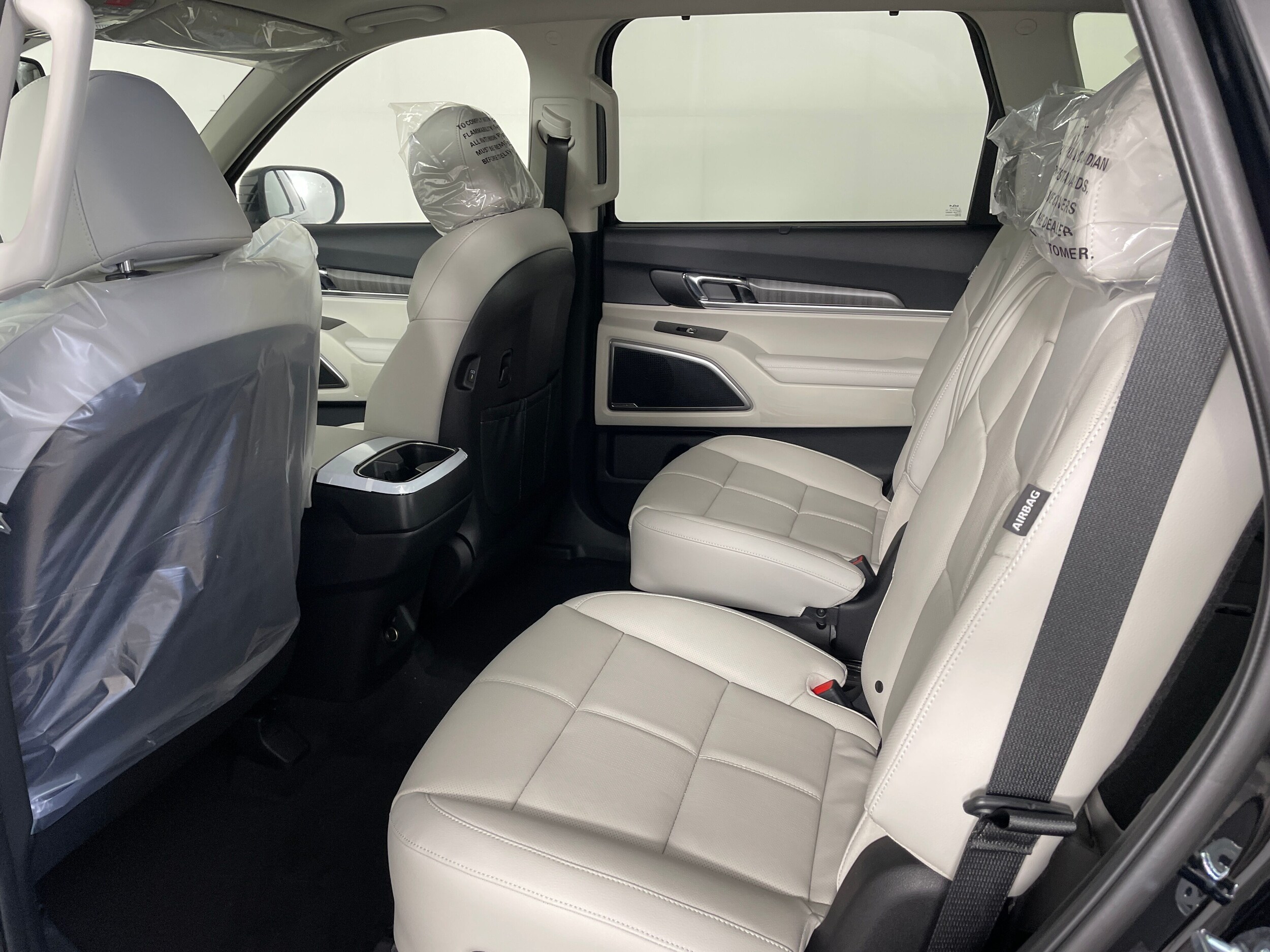 2025 Kia Telluride EX photo 3