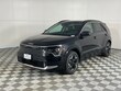  Kia Niro EV