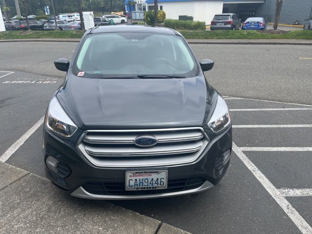 2019 Ford Escape SE photo 2