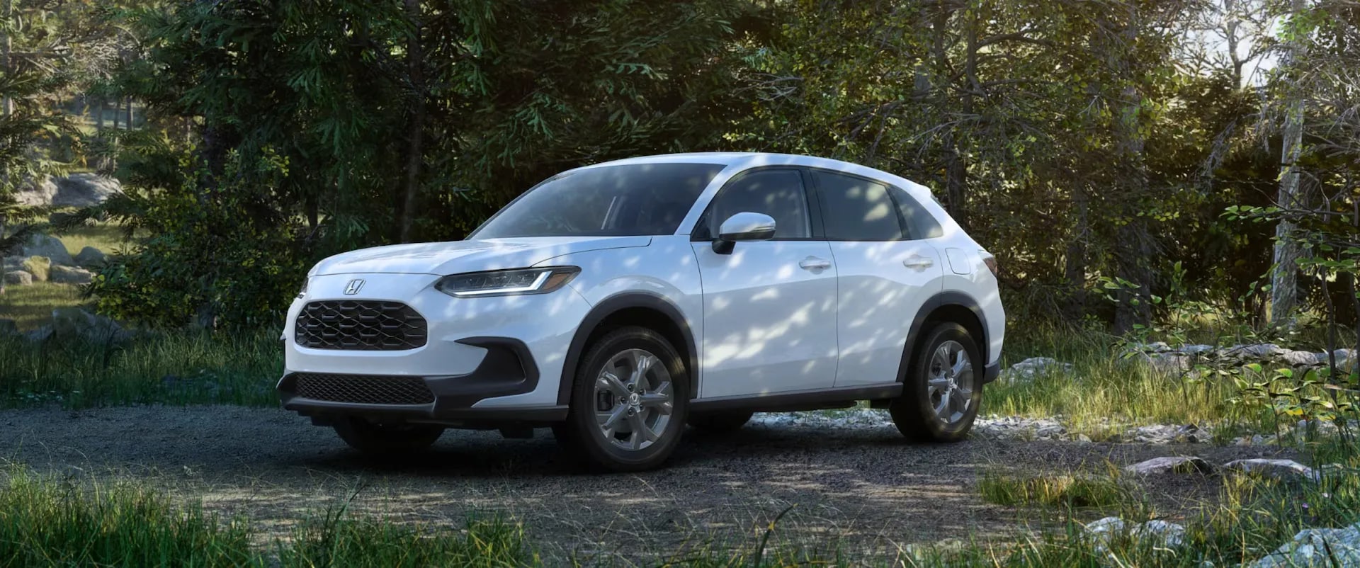 Safety & Driver Assistance