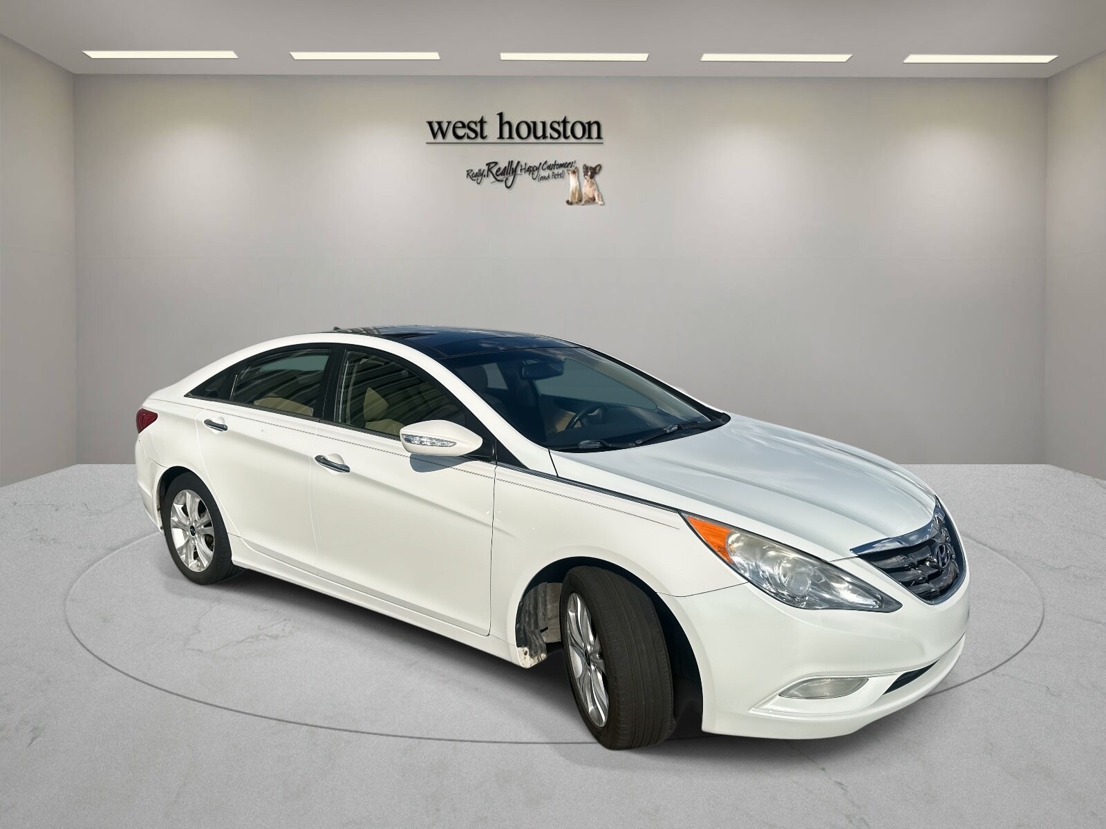 2013 Hyundai Sonata SE Limited photo 3