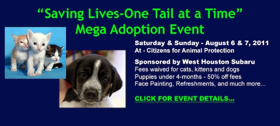 West Houston Subaru Is Sponsoring Dog and Cat Adoption Fees This Saturday  at CAP