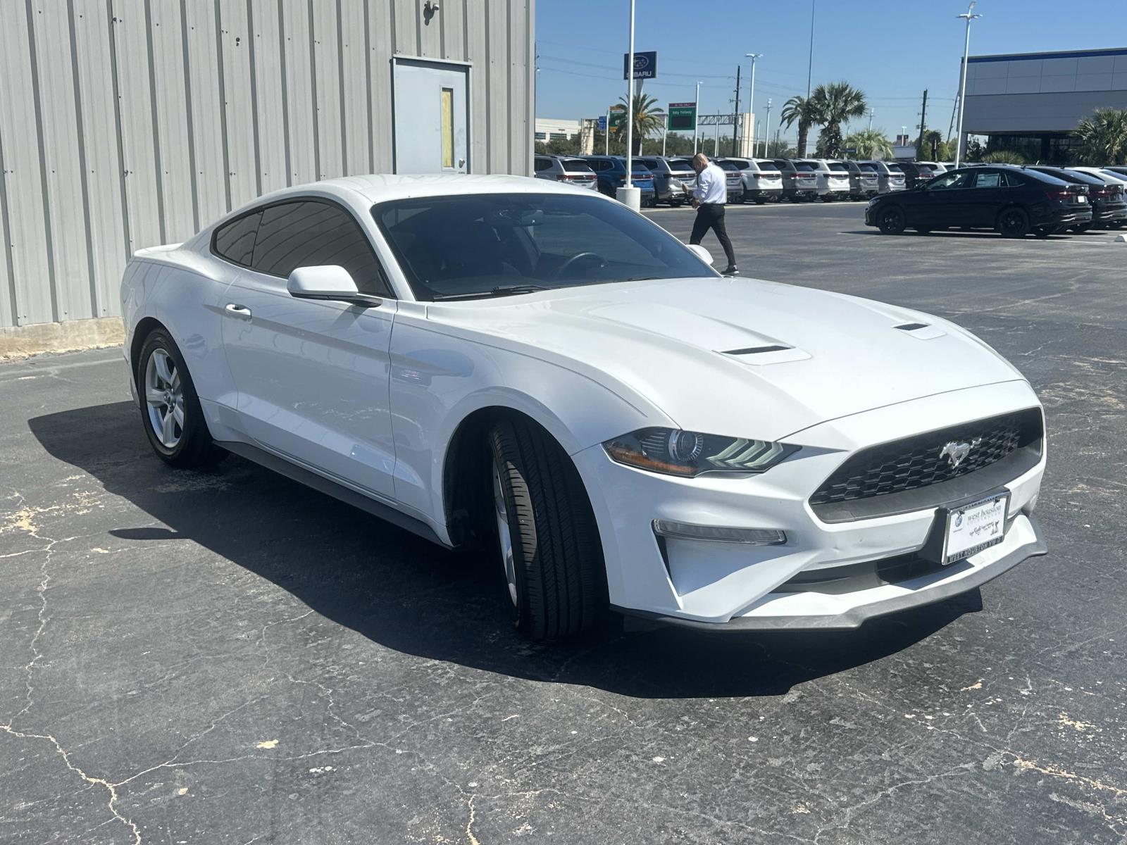 2019 Ford Mustang EcoBoost photo 2