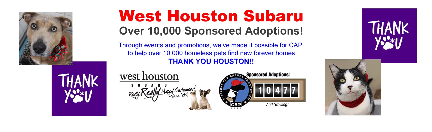 New and used subaru dealer in west houston tx west houston subaru