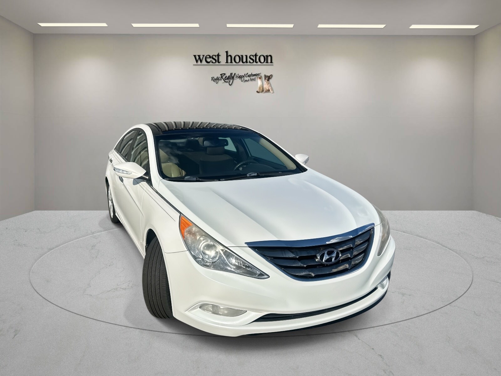 2013 Hyundai Sonata SE Limited photo 2