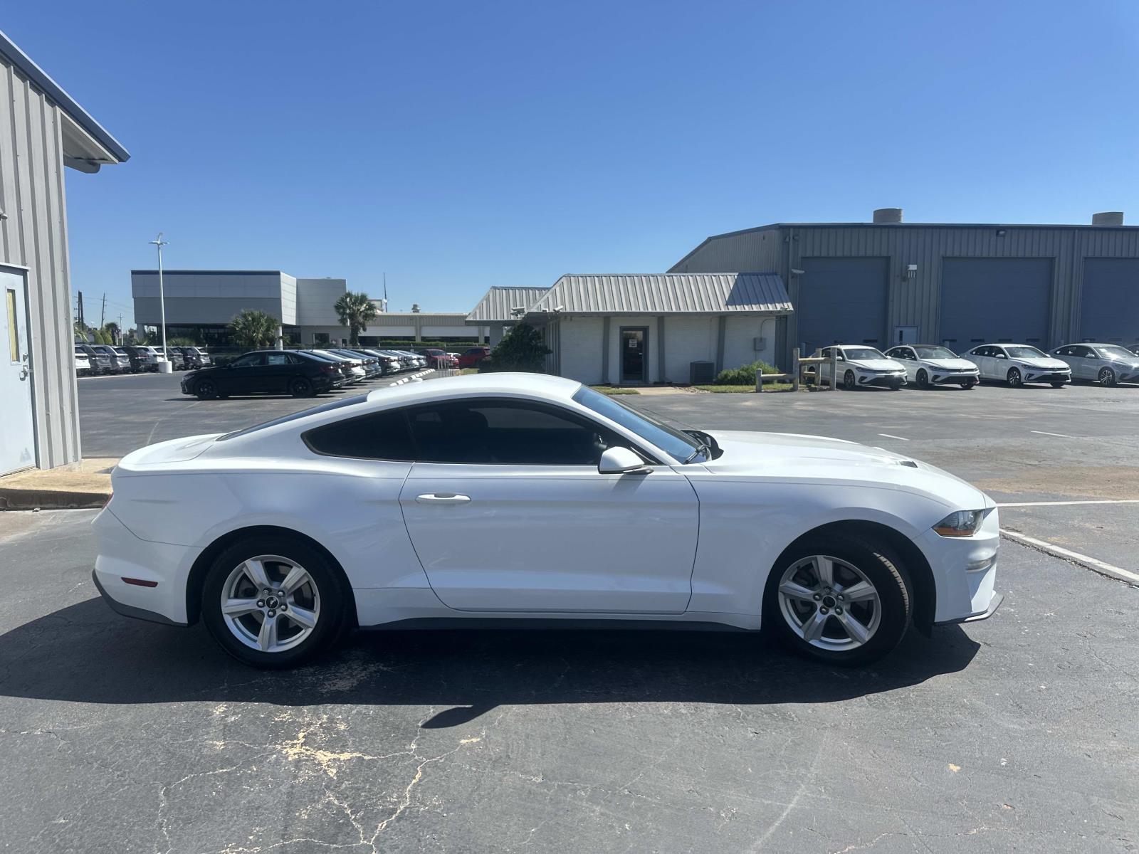 2019 Ford Mustang EcoBoost photo 3