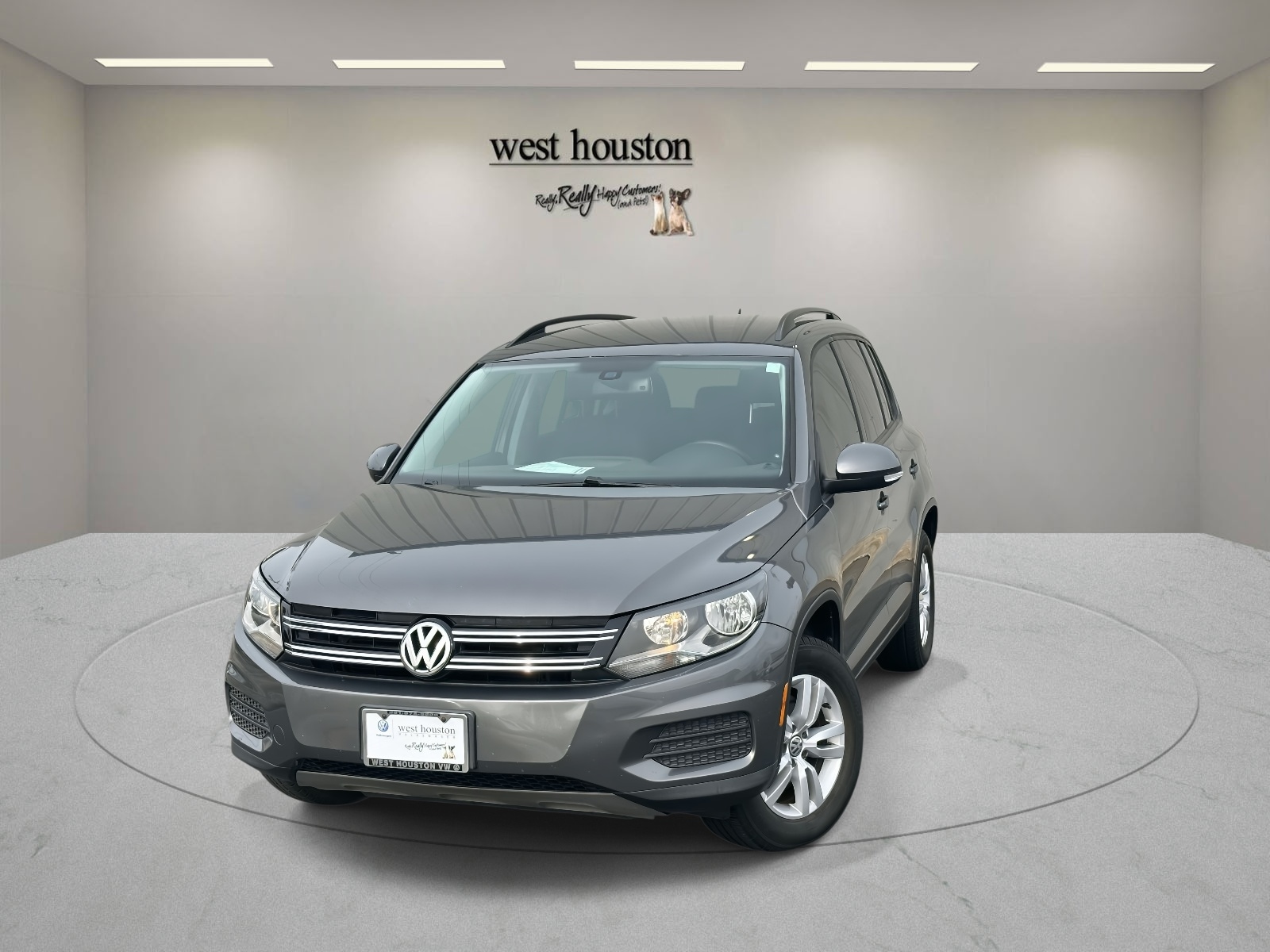 2016 Volkswagen Tiguan S
