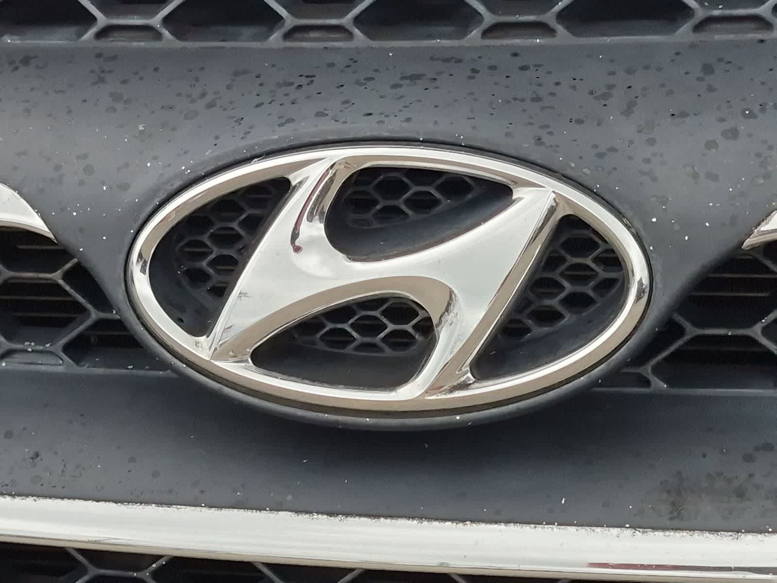 Thumbnail: 2009 Hyundai Santa Fe - 12