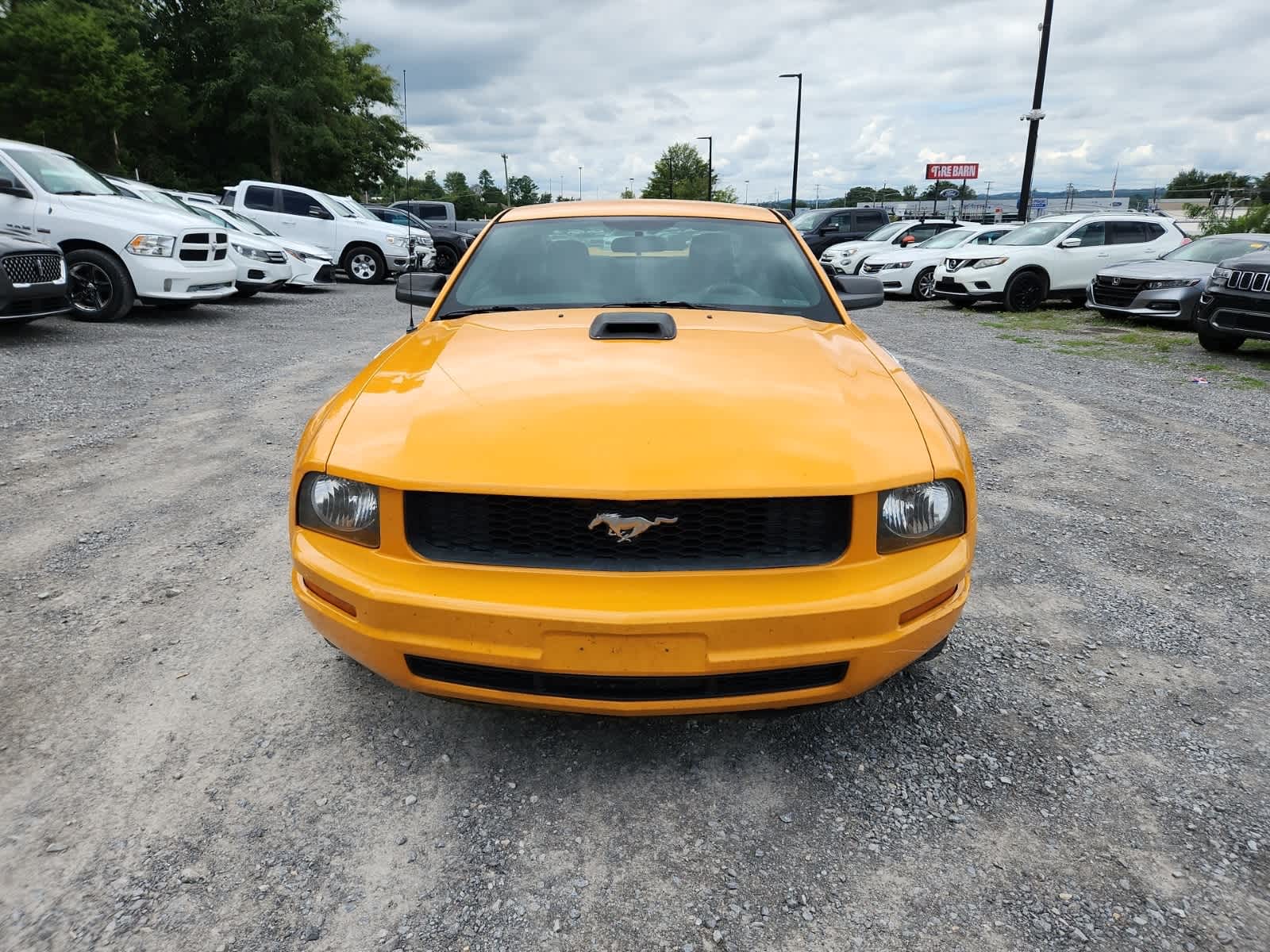 Thumbnail: 2008 Ford Mustang - 8