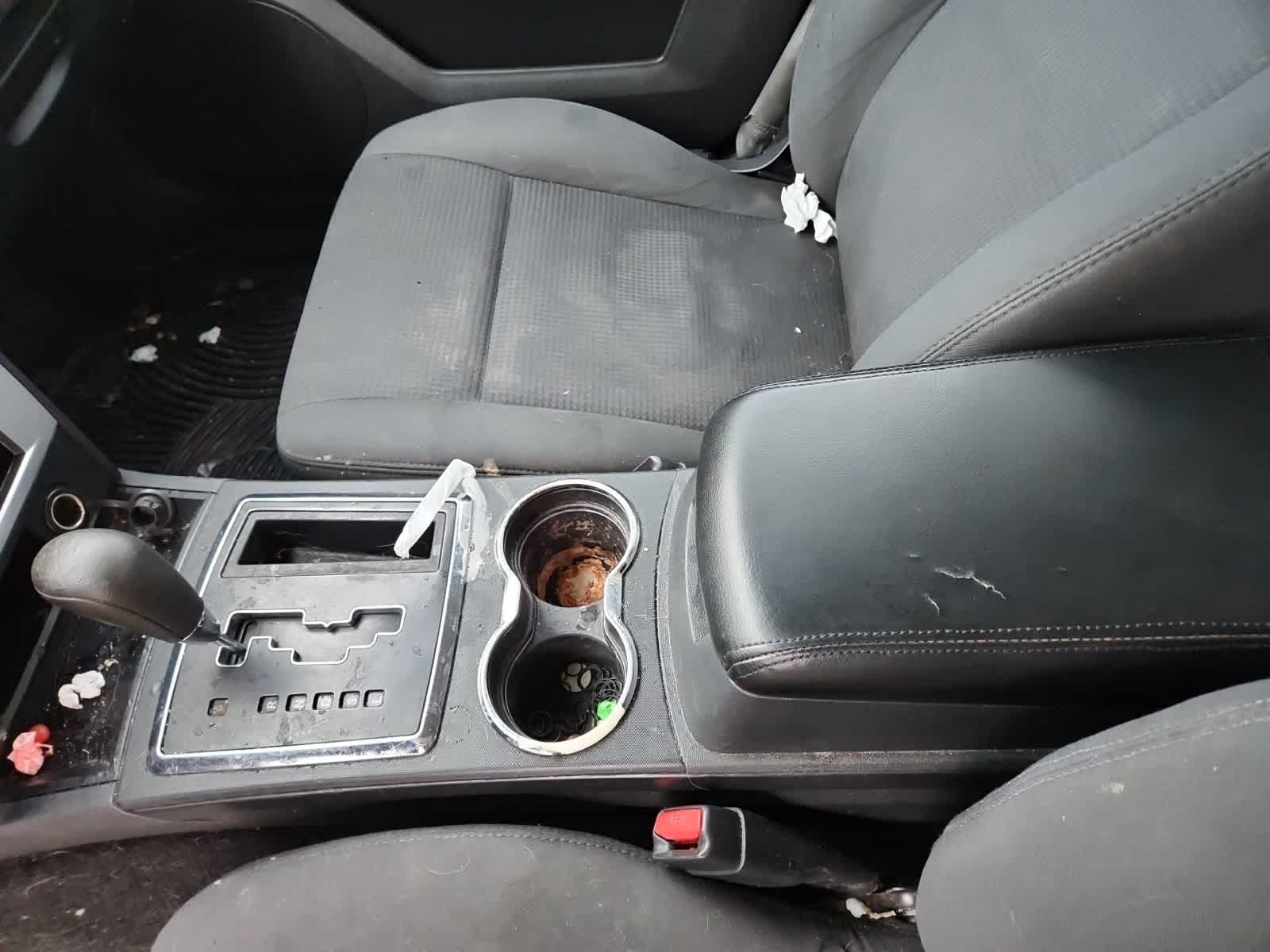 Thumbnail: 2010 Dodge Charger - 11