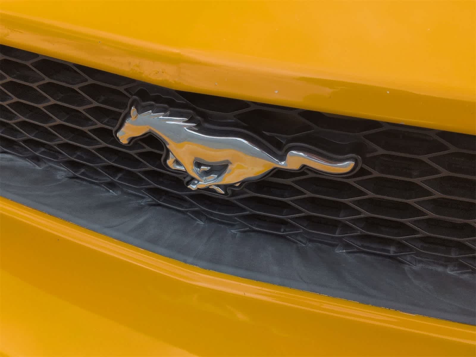 Thumbnail: 2008 Ford Mustang - 13