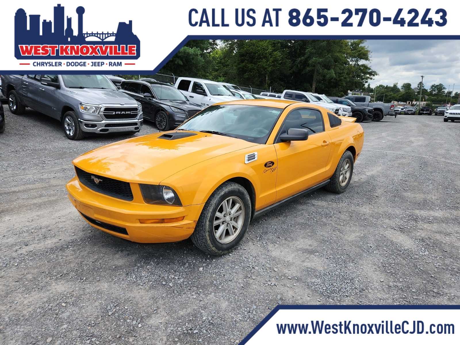 2008 Ford Mustang  -
                  Knoxville, TN