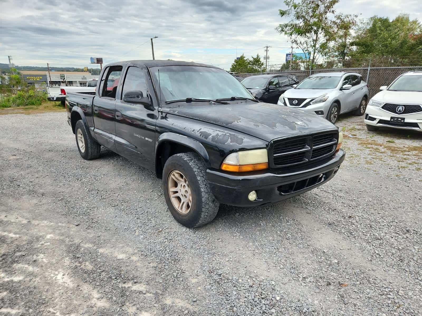 Thumbnail: 2002 Dodge Dakota - 7