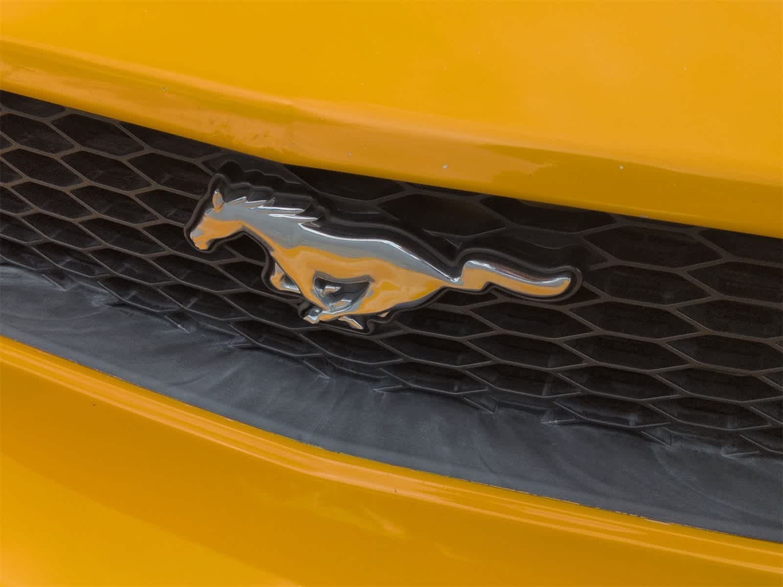 Thumbnail: 2008 Ford Mustang - 12