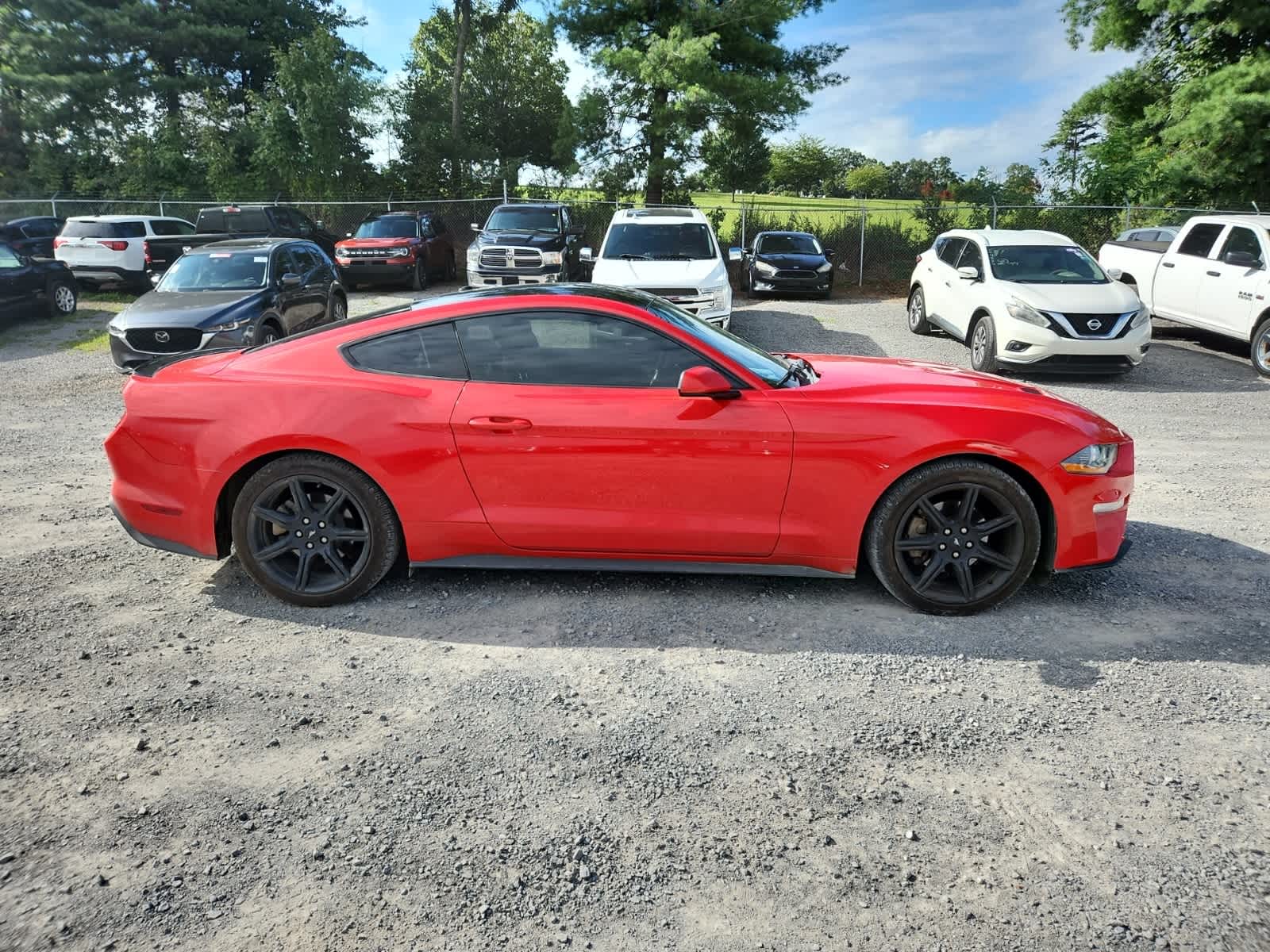 Thumbnail: 2019 Ford Mustang - 6