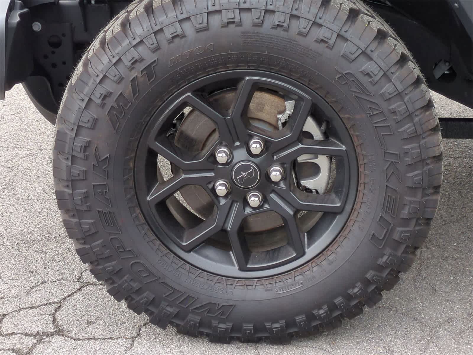 2025 Jeep Wrangler Willys Wheeler 14