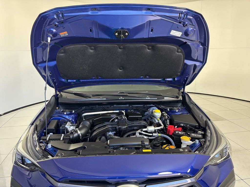 Thumbnail: 2025 Subaru Crosstrek - 11