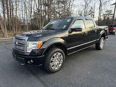 2010 Ford F-150 Platinum Truck