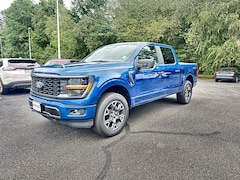2025 Ford F-150 STX Truck