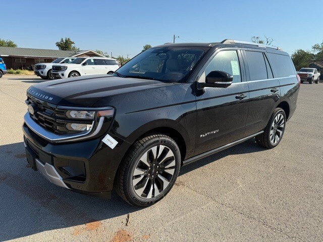 2025 Ford Expedition Platinum photo 3