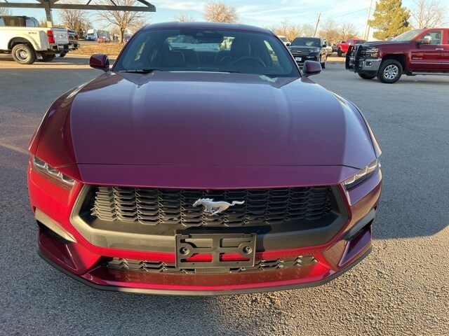 2025 Ford Mustang EcoBoost Premium photo 2