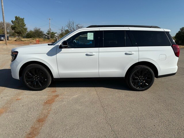 2025 Ford Expedition Platinum photo 3