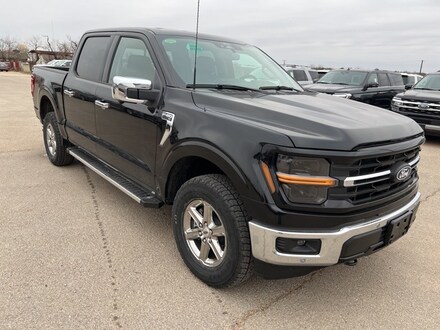 2025 Ford F-150 XLT Truck