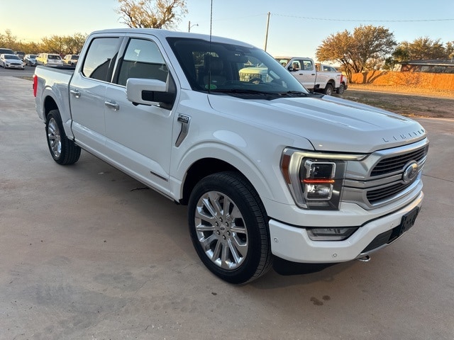 2023 Ford F-150 Limited's photo