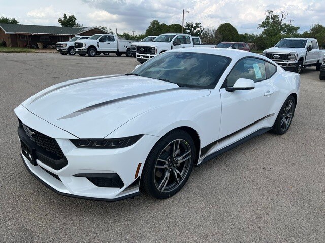 2025 Ford Mustang EcoBoost Premium photo 3