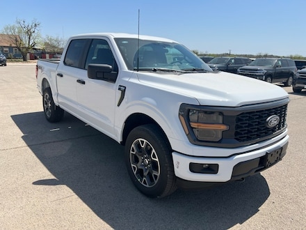 2025 Ford F-150 STX Truck