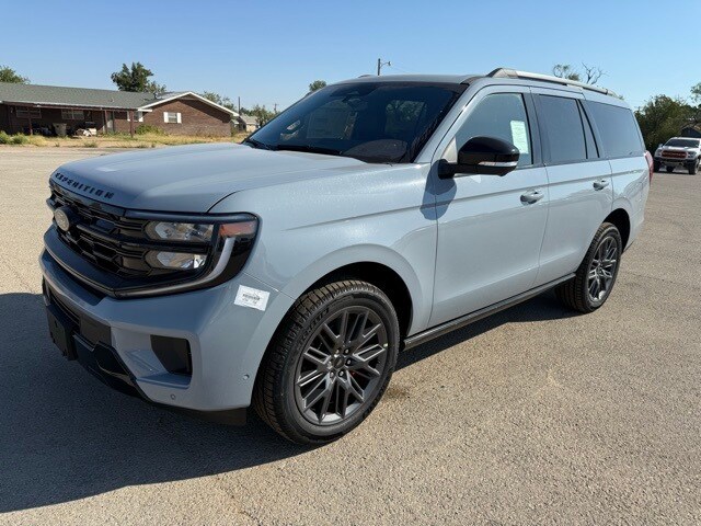 2025 Ford Expedition Platinum photo 3