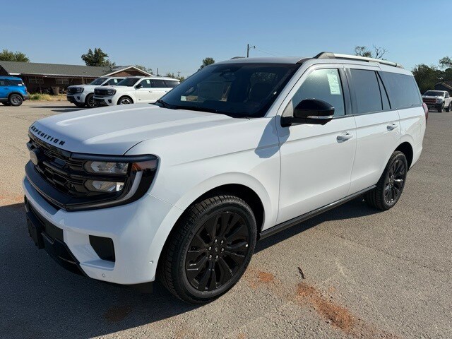 2025 Ford Expedition Platinum photo 2