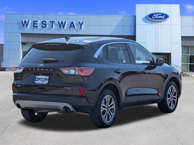 2022 Ford Escape SEL photo 3