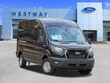Ford Transit-250 Cargo