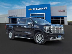2025 GMC Sierra 1500 Denali Truck