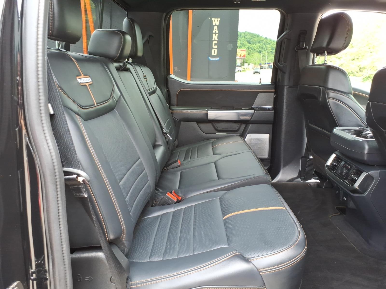 2023 Ford F-150 Platinum - Photo 6